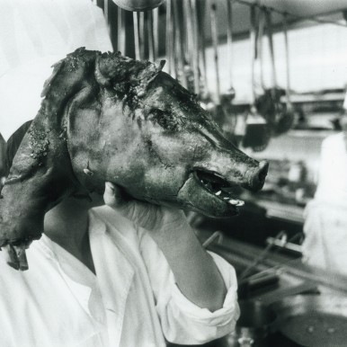 1984-02-27 JOSE MARRO  MIT SCHWEINEKOPF, Erlibacherhof, Erlenbach